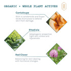 Adapt - Bio Balance Tonique