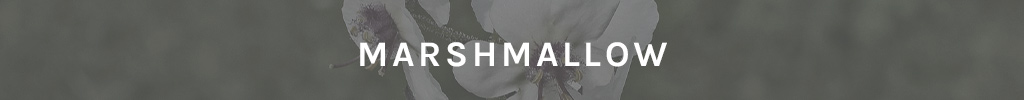 marshmallow natural skincare