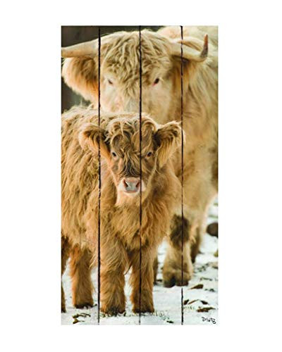 Timeless by Design Adorable Baby Love Crate Wooden Sign, 12 x 24 Inches