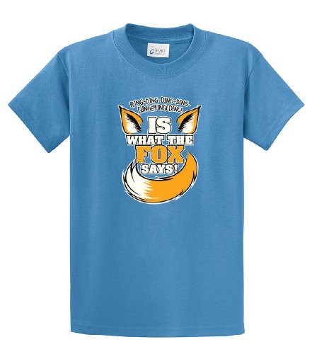 Funny Youth Tee Shirt Ring Ding Ding is What The Fox Says Carolina ys Funny Youth Tee Shirt Ring Ding Ding is What The Fox Says Carolina ys