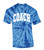 Trenz Shirt Company Coach T-shirt Distressed Sports Team Head Coach Short Sleeve T-shirt