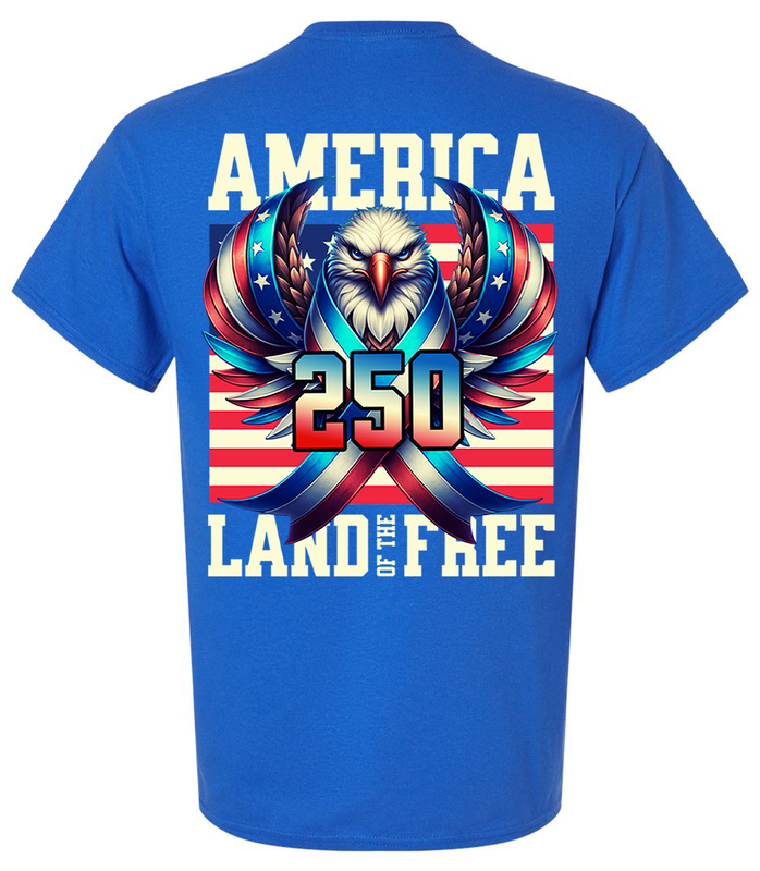 Patriot Pride Men's Graphic T-Shirt - Red, White, & Blue Eagle