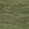 Moss