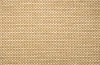 Golden Wheat
