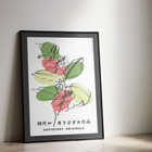 ANCHOR & CREW x GUSTATORY Originals Coffee Blossom Matte Art Print