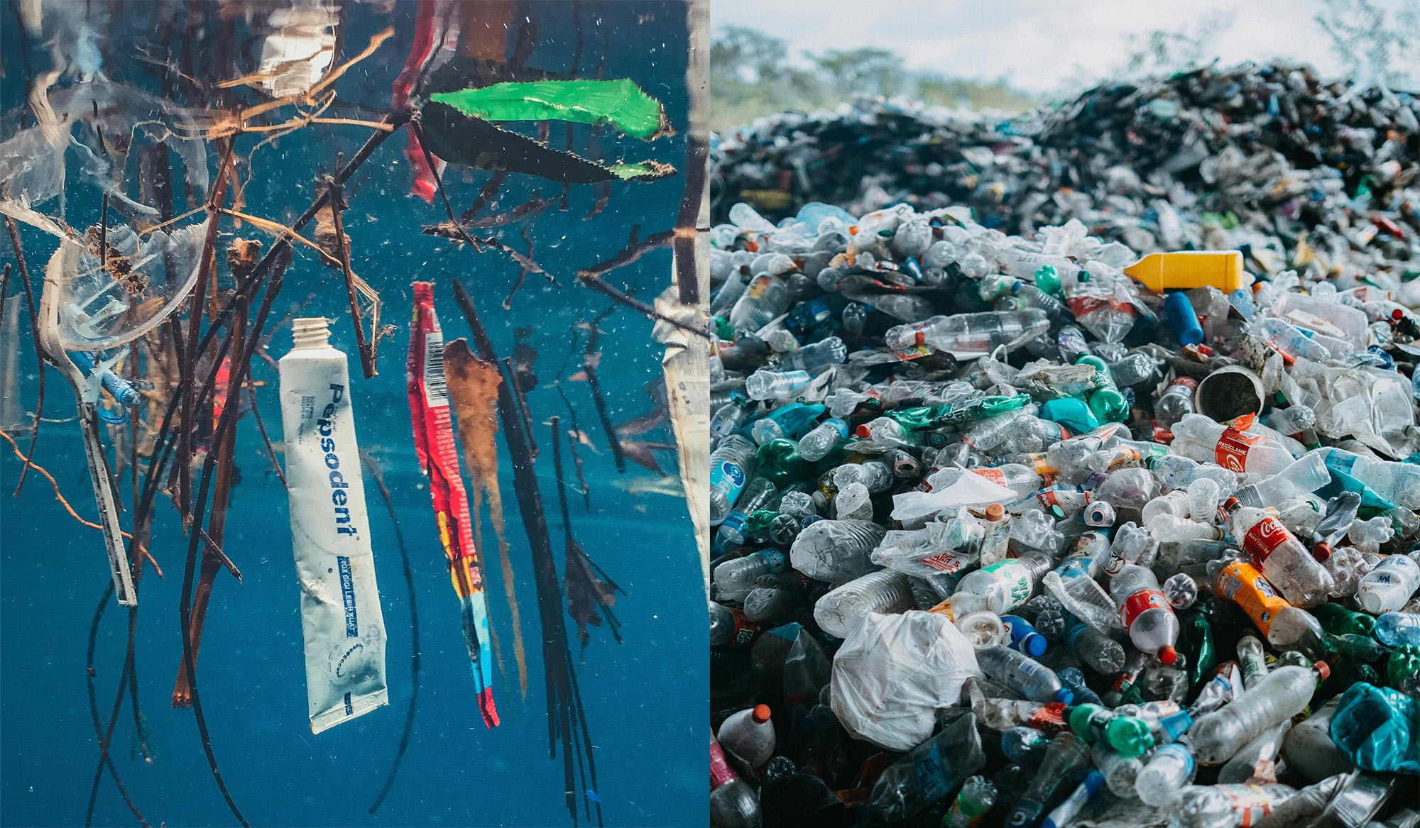 Combatting Plastic Pollution Think Ocean Hoodies T-Shirts And Bracelets