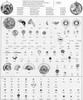 1530 Rolex parts list