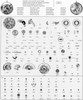1600 Rolex parts list