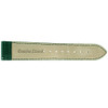 Lizard Skin Watch Band in Green - Bottom View - Main