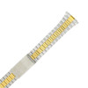 Watch Band Link Metal 2-Tone Spring Ends 17mm-22mm - TSMET294