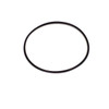 Omega case back gasket