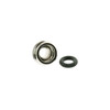 Case Tube and Gasket to Generic Rolex 24-5300 - Main