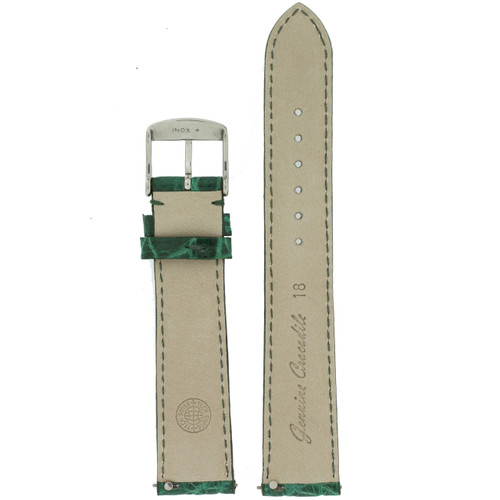 Watch Band Green Crocodiledile Padded Built-In Spring Bars - Main