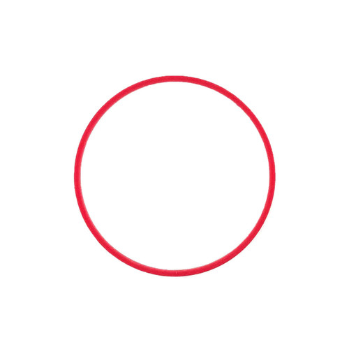 Tissot case back gasket
