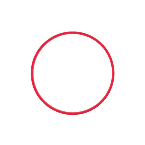 Tissot case back gasket T122407