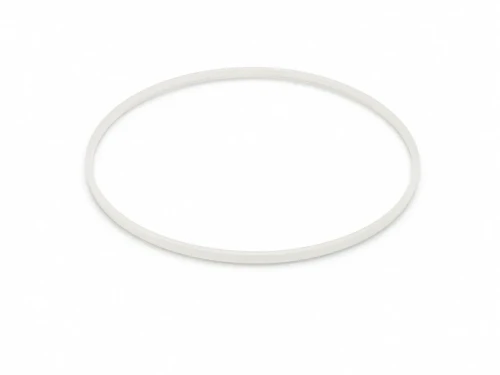 TAg Heuer crystal gasket