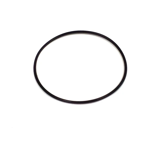 Omega case back gasket