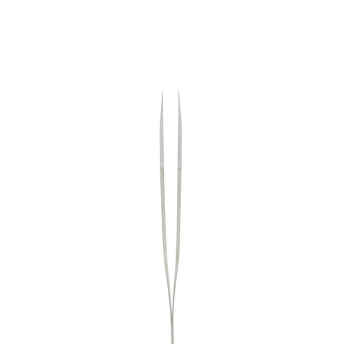 Tweezers #1 Stainless Steel Non-Megnatic