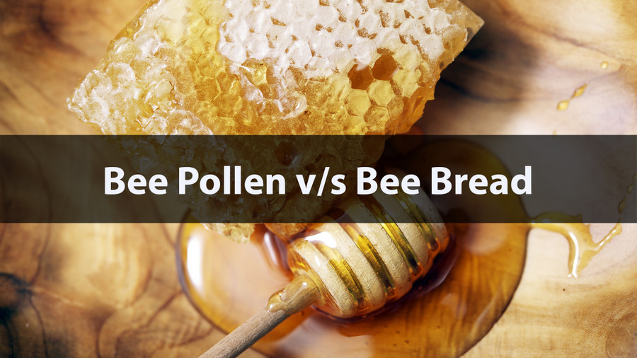 Bee Pollen vs. Bee Bread: Understanding the Difference and Their Uses Bee Pollen vs. Bee Bread: Understanding the Difference and Their Uses