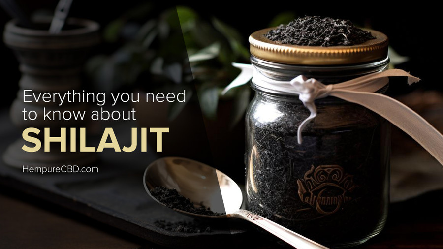 Is Shilajit Safe? Exploring the Benefits and Safety of this Natural Wonder Is Shilajit Safe? Exploring the Benefits and Safety of this Natural Wonder