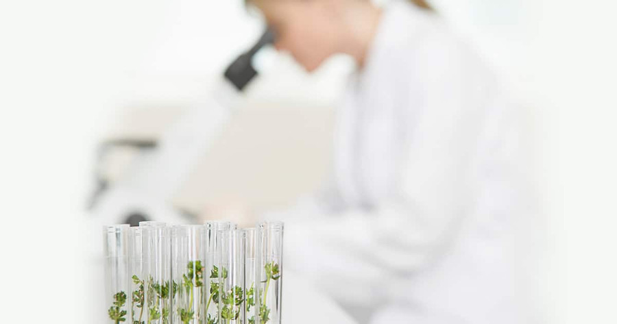 Does CBD Show Up On A Drug Test? Does CBD Show Up On A Drug Test?