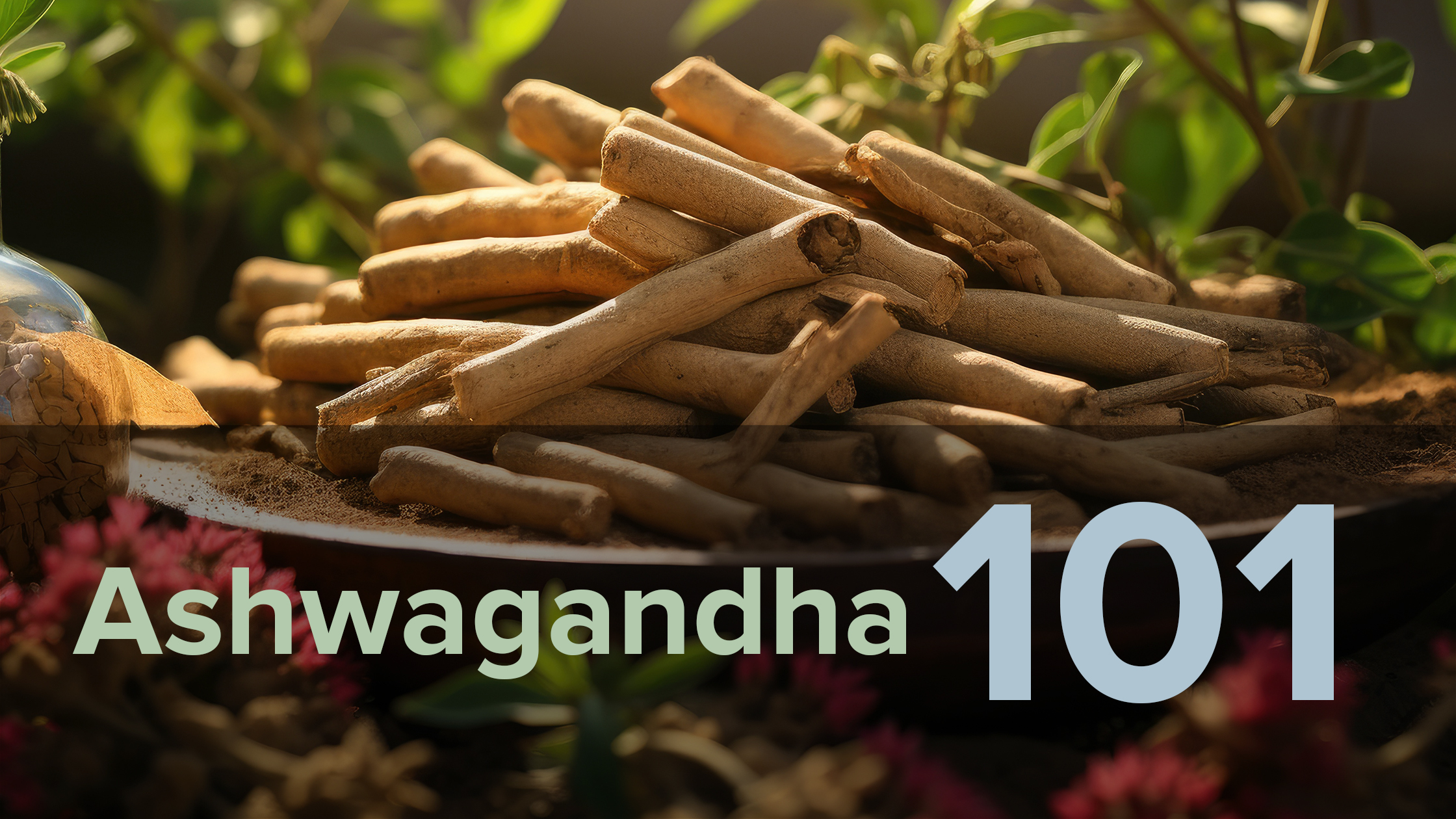 Ashwagandha Side Effects When To Worry About Heart Palpitations - itj9lzp