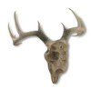 10 Point Buck Deer Skull Bust Wall Hanging Additional image