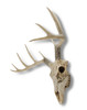 10 Point Buck Deer Skull Bust Wall Hanging Additional image