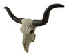 Black & Bone Decorative Longhorn Trophy Skull Wall Sculpture 20 Inch Additional image