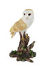 Barn Owl Vigilantly Perched on Tree Stump Statue Main image