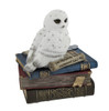 Wise Snow Owl Resting on Scholar`s Books Trinket Box Main image