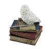 Wise Snow Owl Resting on Scholar`s Books Trinket Box Additional image