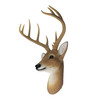 12 Point Buck Deer Head Bust Wall Hanging Additional image