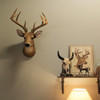 12 Point Buck Deer Head Bust Wall Hanging Lifestyle image 4