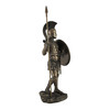 Bronzed Spartan Warrior with Spear and Hoplite Shield Statue Additional image