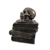 Bronze Wizard`s Study Books and Skull Trinket Stash Box Additional image