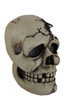 Color Changing LED Lighted Cracked Skull W/Web Statue Additional image
