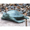 SPI Aluminum Garden Turtle Statue Main image