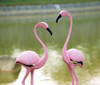 Aluminum Pink Flamingo Pair Sculpture Indoor / Outdoor Additional image