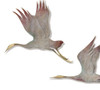 Set of 3 Flying Crane Wall Plaques Additional image
