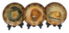 Set Of Three 8 Inch Diameter Big Cat Plates Main image