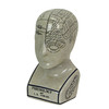 AA Importing 59898 Small Phrenology Head Main image