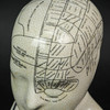 AA Importing 59898 Small Phrenology Head Additional image