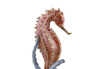 18 Inch Seahorse and Coral Statue Hand Finished Additional image