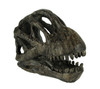 6 inch Brachiosaurus Dinosaur Skull Fossil Statue Resin Brown Office Desk Décor Main image