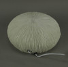 White Faux Mushroom Coral Decorative Coastal Art Accent Lamp Additional image