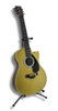 Classic Acoustic Guitar Coin Bank with Stand Main image