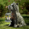 SPI Patient Pooch Garden Lantern ( Additional image