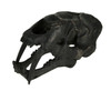 Black Saber Toothed Cat Skull Statue Small Main image