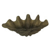 Lifelike Cast Polyresin Giant Clam Shell Decorative Bowl Main image